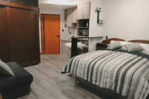 Estudio, patio privado, cocineta y baño completo